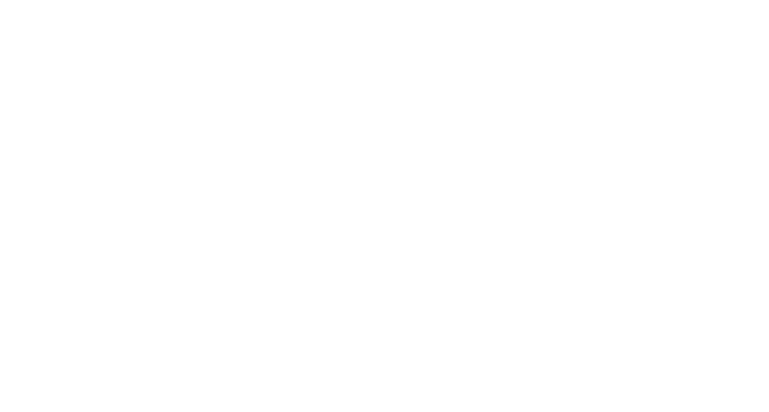 meridian features